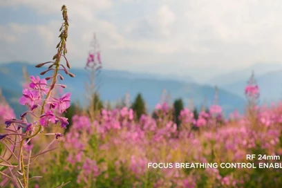 Focus Breathing