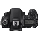 Цифровая зеркальная фотокамера Canon EOS 90D + объектив 18-55 IS STM (3616C030AA)