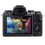 Цифровая фотокамера Canon EOS M5 Body Black (1279C043)