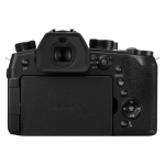 Цифровая фотокамера Panasonic LUMIX DC-FZ1000 II (DC-FZ10002EE)