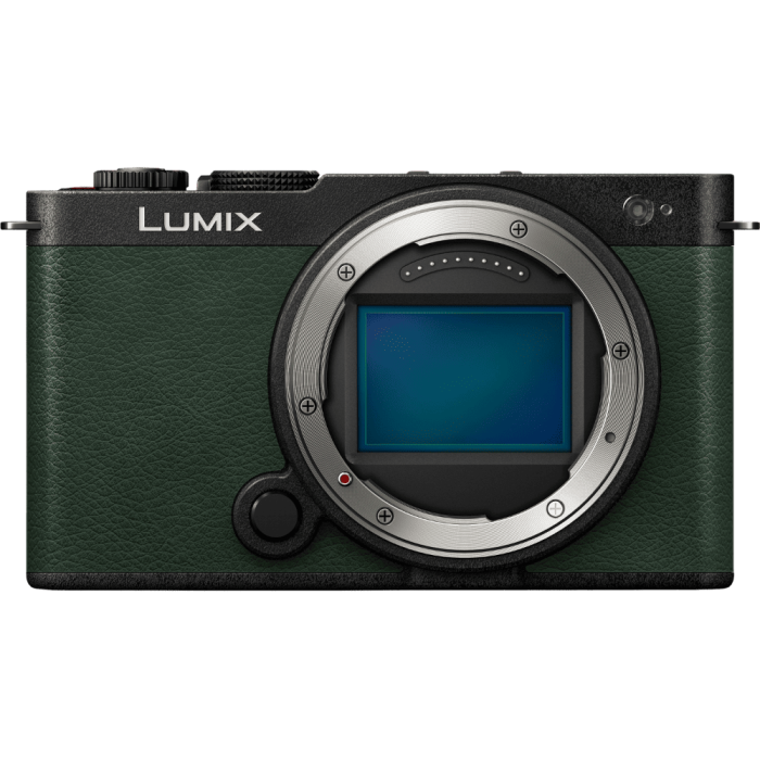 Цифровая фотокамера Panasonic Lumix S DC-S9E-G Body Dark Olive