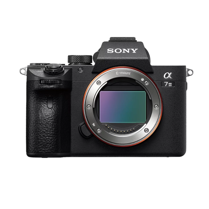 Цифровая фотокамера Sony Alpha a7 III Body ILCE7M3B.CEC