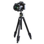 Штатив Vanguard Vesta FB 204ABS (Vesta FB 204ABS) DAS301002