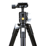 Штатив Vanguard Vesta FB 204ABS (Vesta FB 204ABS) DAS301002