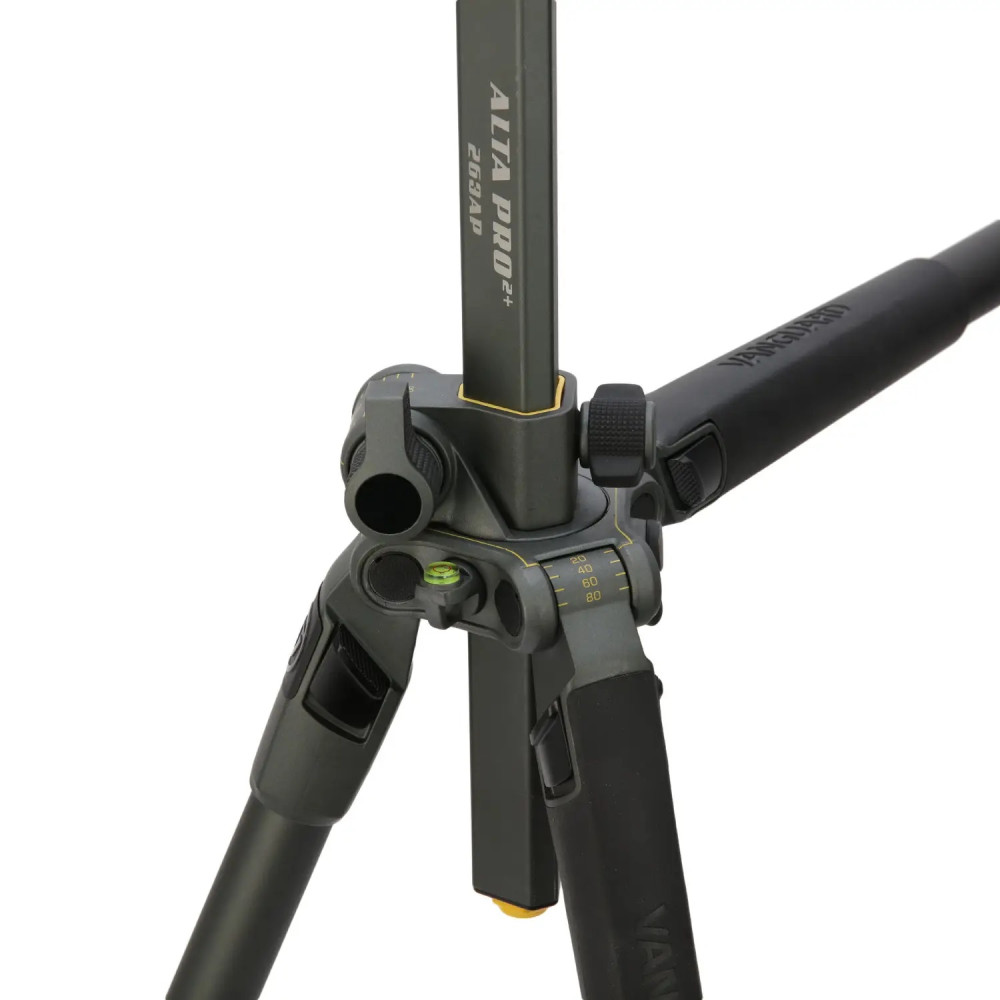 Штатив Vanguard Alta Pro 2+ 263AP (Alta Pro 2+ 263AP) DAS301020