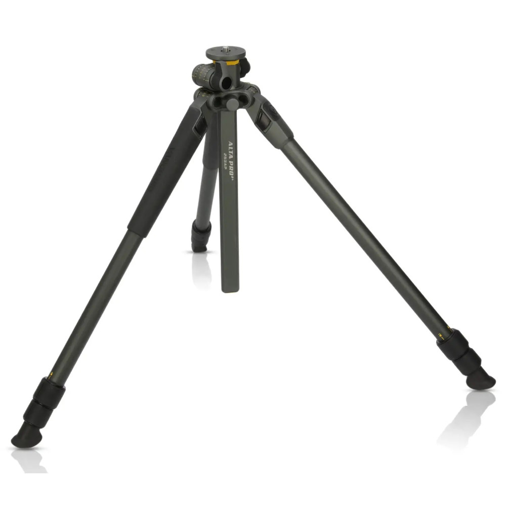 Штатив Vanguard Alta Pro 2+ 263AP (Alta Pro 2+ 263AP) DAS301020