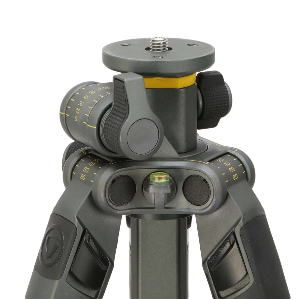 Штатив Vanguard Alta Pro 2+ 263AP (Alta Pro 2+ 263AP) DAS301020