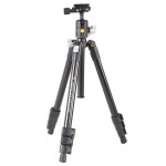 Штатив Vanguard Vesta FB 204AB (Vesta FB 204AB) DAS301092