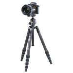 Штатив Vanguard Vesta TB 235CB (Vesta TB 235CB) DAS301093