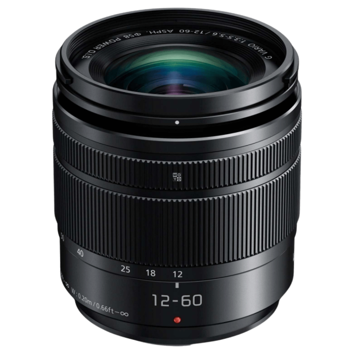 Объектив Panasonic Lumix G Vario H-FS12060E Micro 4/3 Lens 12-60 MM F/3.5-5.6 ASPH POWER O.I.S.