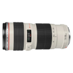 Объектив Canon EF 70-200mm f/4.0L USM 2578A009