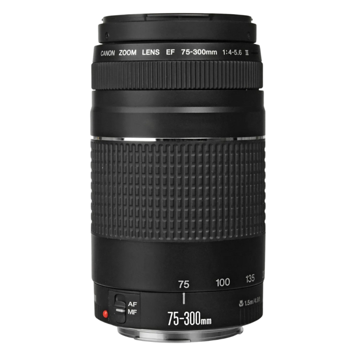 Объектив Canon EF 75-300mm f/4.0-5.6 III 6473A015