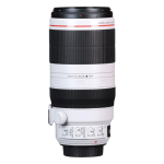 Объектив Canon EF 100-400mm f/4.5-5.6L IS II USM 9524B005