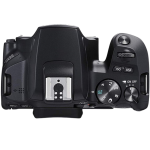 Цифровая зеркальная фотокамера Canon EOS 250D Kit 18-55 f/4-5.6 IS STM Black (3454C007)