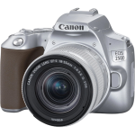 Цифр. фотокамера дзеркальна Canon EOS 250D kit 18-55 IS STM Silver 3461C003