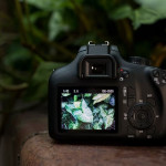 Цифровая фотокамера Canon EOS 4000D + 18-55 DC III 3011C004