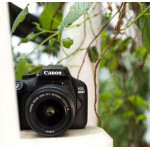 Цифровая фотокамера Canon EOS 4000D + 18-55 DC III 3011C004