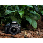 Цифровая фотокамера Canon EOS 4000D + 18-55 DC III 3011C004