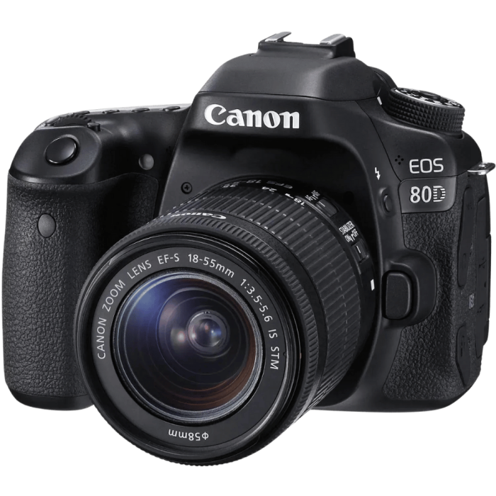 Цифр. фотокамера дзеркальна Canon EOS 80D + об'єктив 18-55 IS STM 1263C038