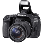 Цифр. фотокамера дзеркальна Canon EOS 80D + об'єктив 18-55 IS STM 1263C038