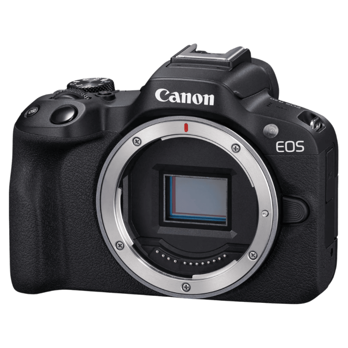 Цифровая беззеркальная фотокамера Canon EOS R50 body 5811C029