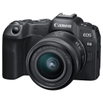 Цифровая беззеркальная фотокамера Canon EOS R8 Kit + RF 24-50 f/4.5-6.3 IS STM 5803C016