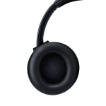 Беспроводные наушники Panasonic RB-M600BG-K