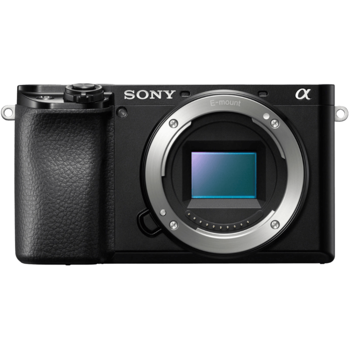 Цифровая фотокамера Sony Alpha A6100 Body Black