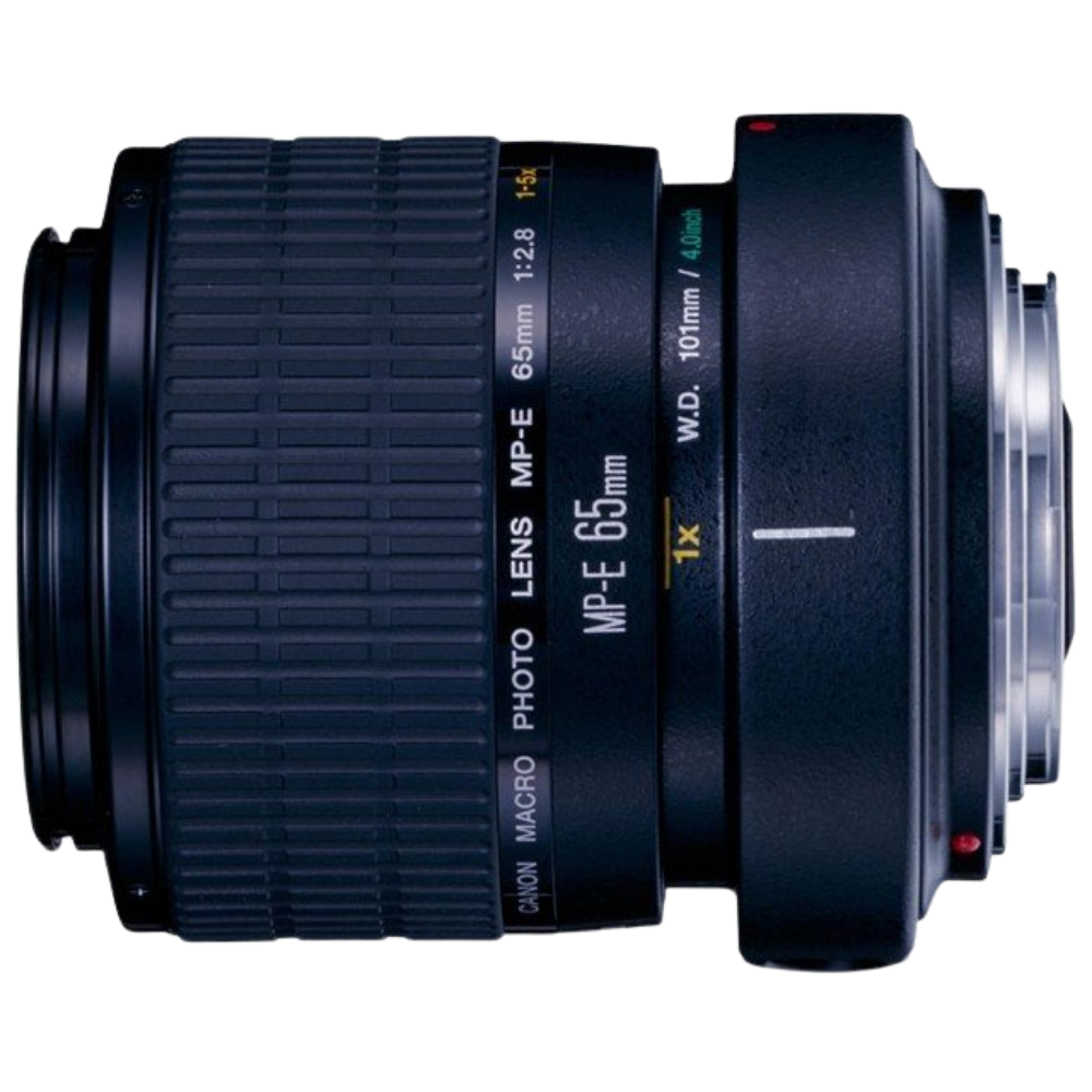 Canon EOS M50