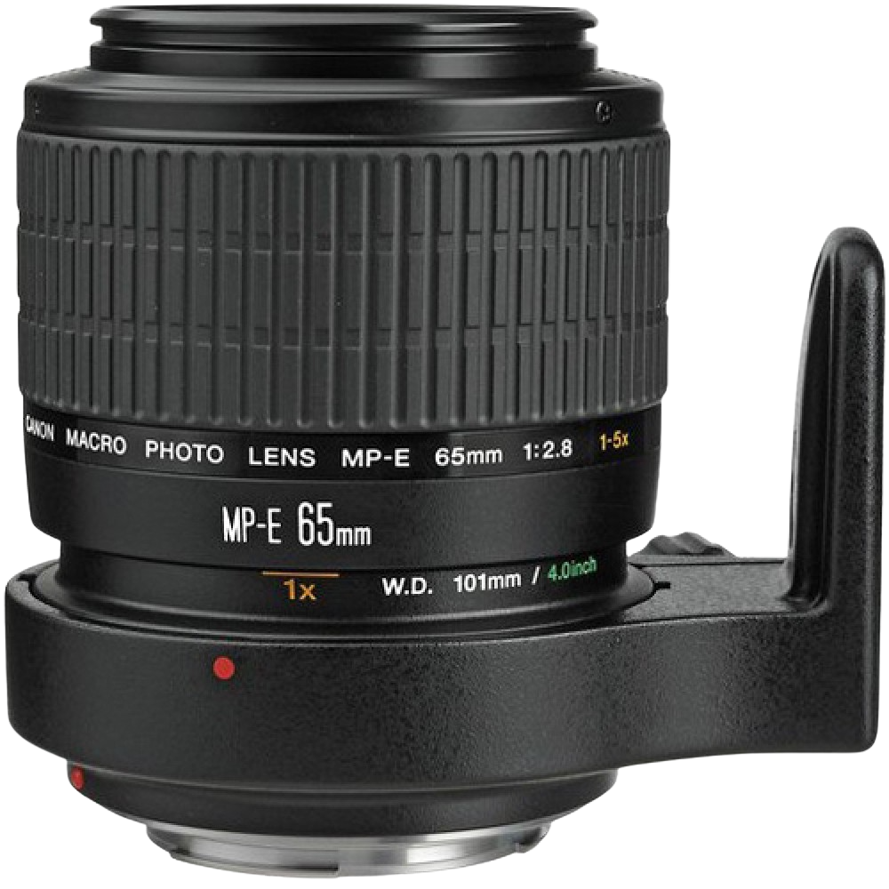 Canon EOS M5