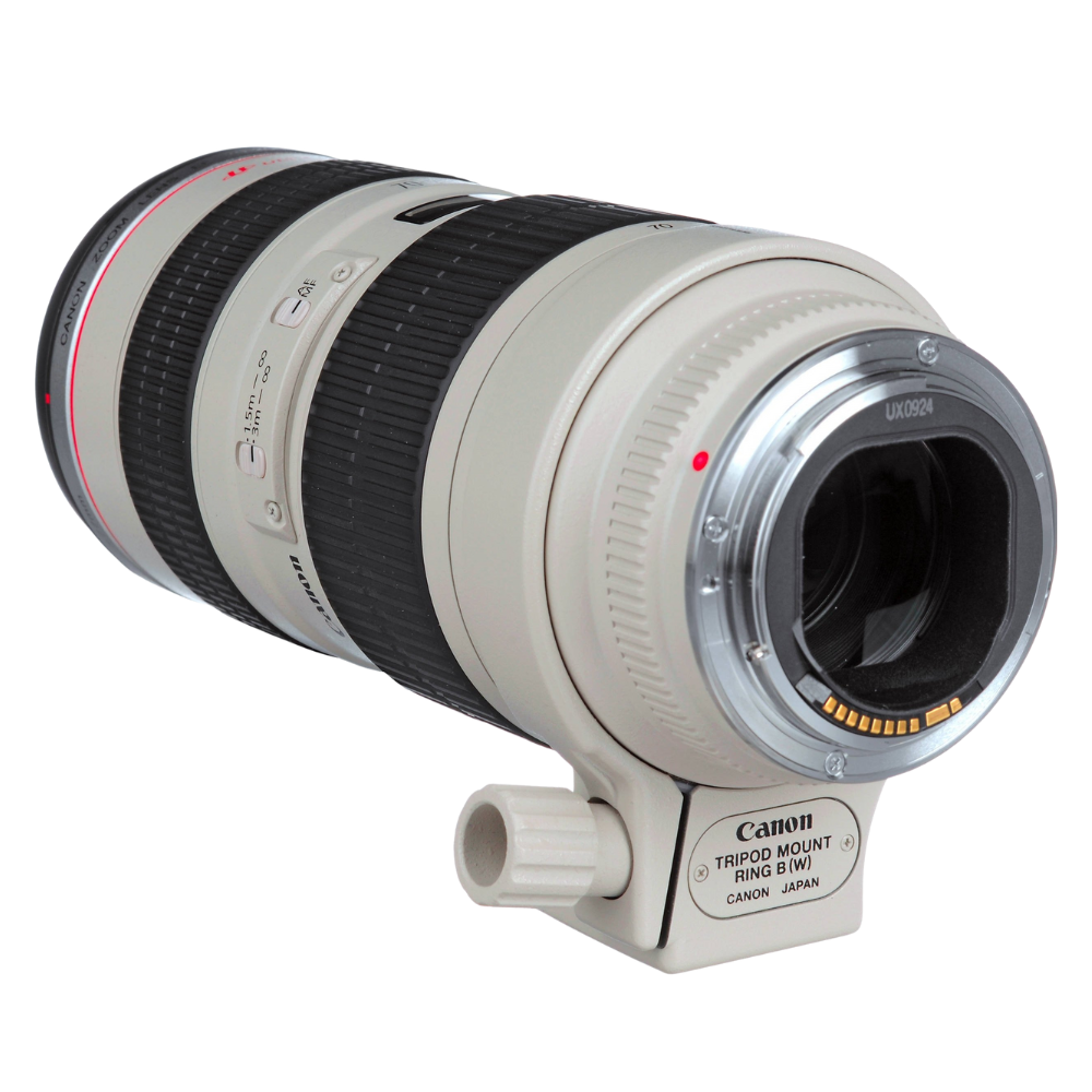 Canon  EOS M5