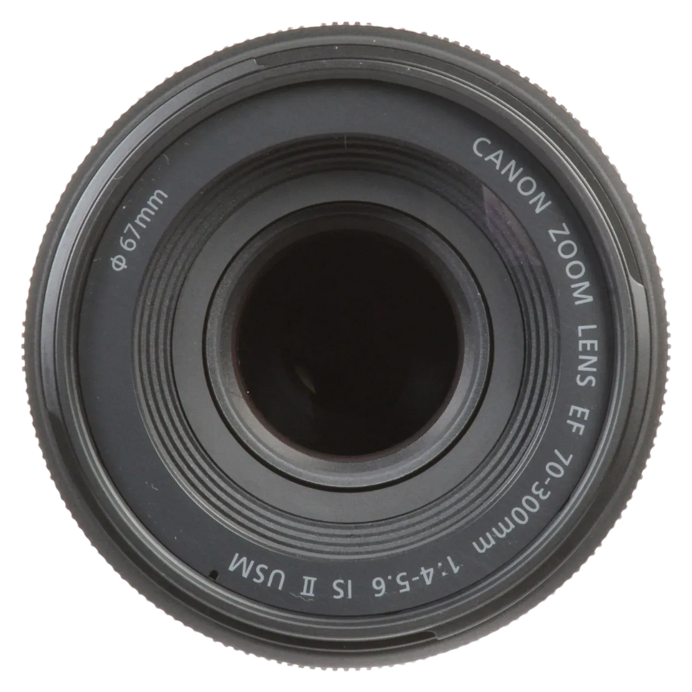 Canon RF 85mm f/2.0 MACRO IS STM