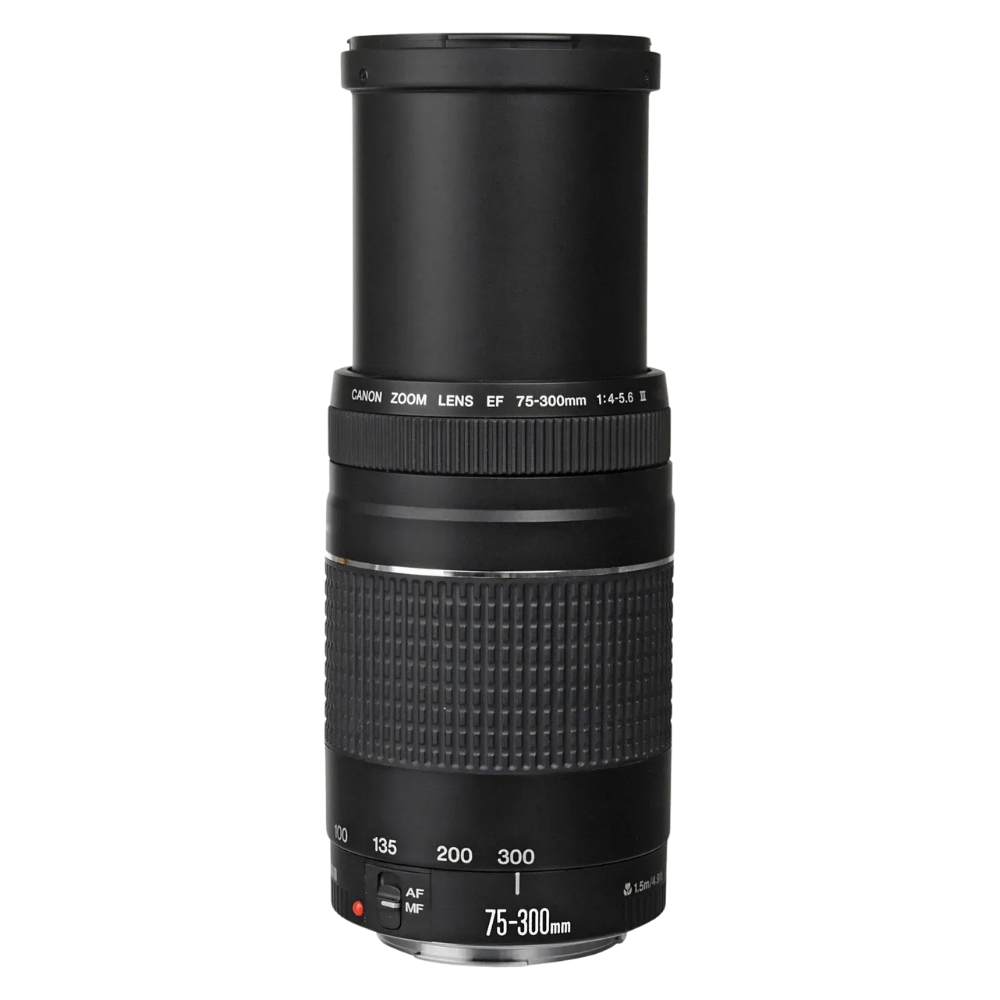 Canon RF 85mm f/2.0 MACRO IS STM